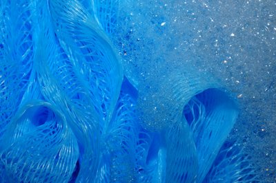 Fleur bleu_4451770494_l.jpg